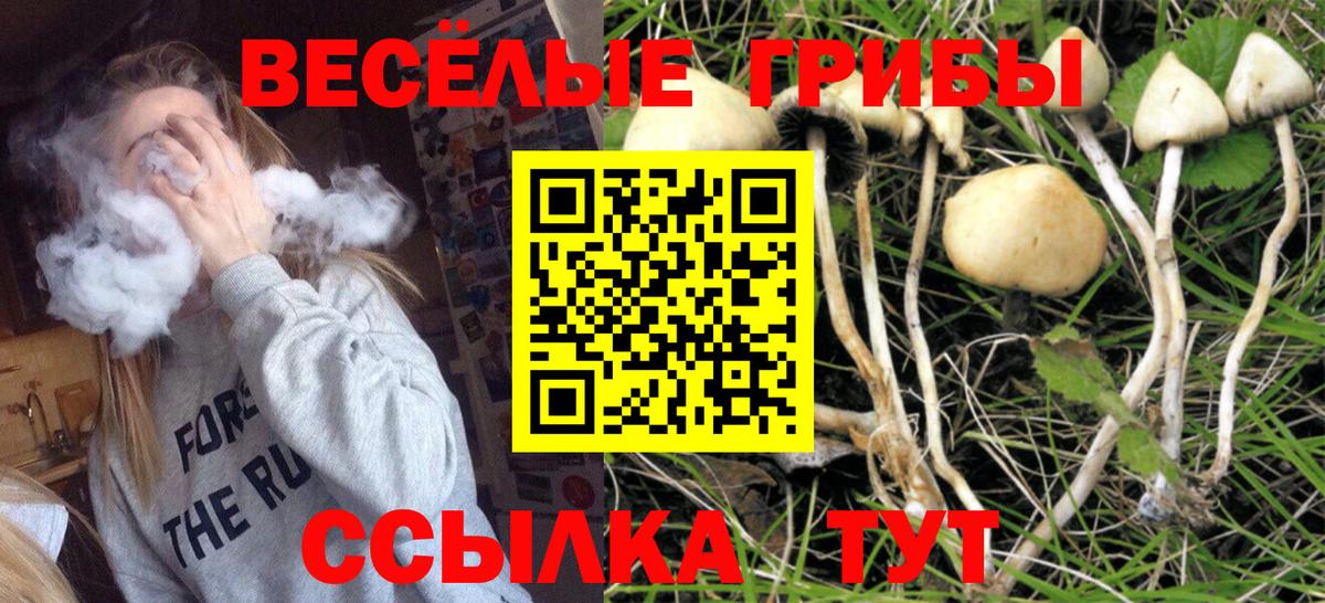 Галлюциногенные грибы Psilocybine cubensis Аша