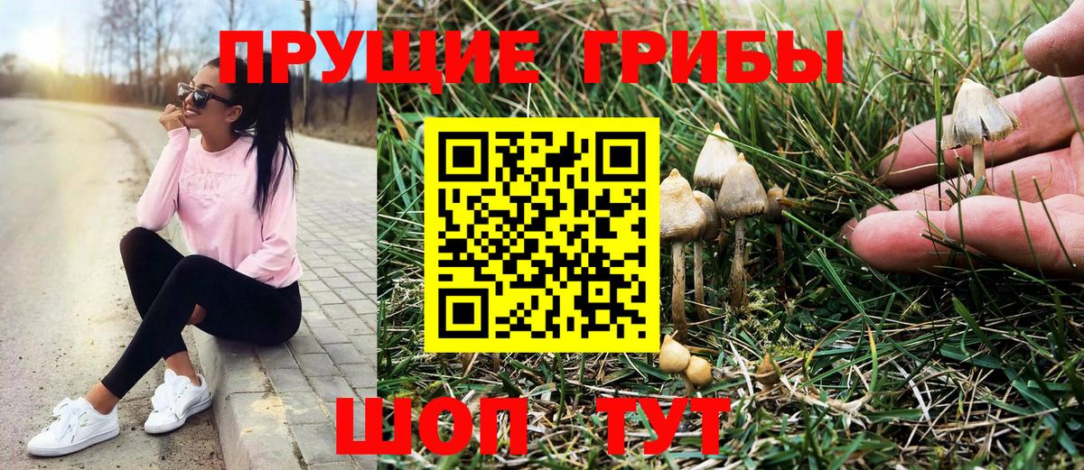 Аша  Псилоцибиновые грибы мухоморы  Вход с VPN  где купить наркоту  Галлюциногенные грибы MAGIC MUSHROOMS 